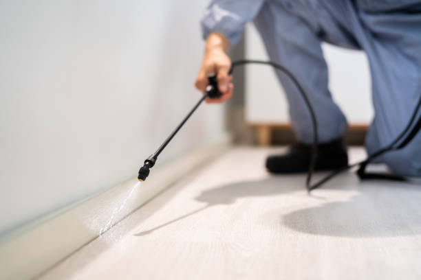 Licensed Rodent Control service in Frontier County County, NE - Nex Pest Control